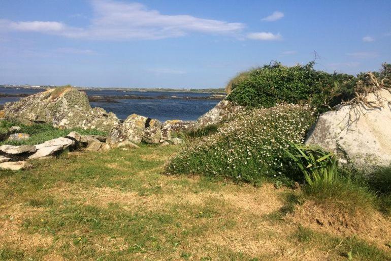Seaside Log Cabin, Carna Villa Kültér fotó
